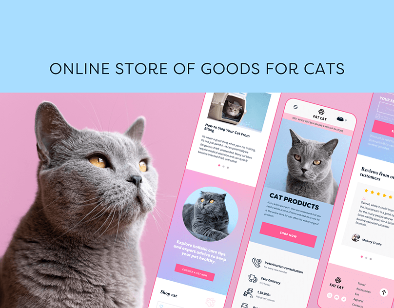 Design of an online store of goods for cats